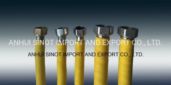 Coated Extensible Flexible AISI304/316L Pipes for Gas