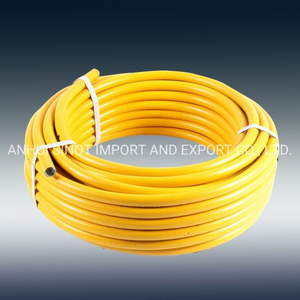 AISI304/316L Naked Flexible Extensible Hose for Gas