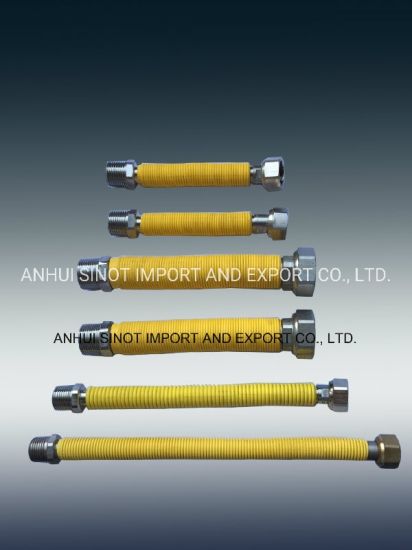 Coated Flexible Extensible AISI304/316L Hoses for Gas