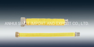Coated Flexible Extensible AISI304/316L Hoses Used for Gas