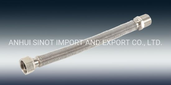 Naked Flexible Extensible AISI304/316L Gas Pipe